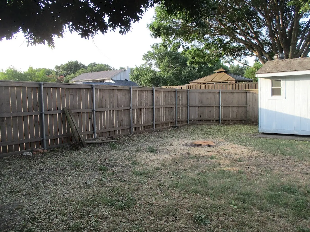 Cleared yard after professional tree removal in Summer Lake